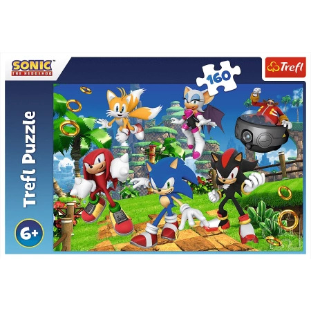 Puzzle Trefl 160 Sonic i przyjaciele 154214