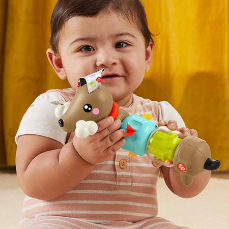 Fisher Price HTW91 Aktywizujacy Jamnik 199181