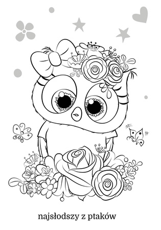 Książeczka Maluszkowe malowanie. Czarujące sówki 074246