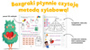Książeczka Bazgraki Czytanie sylabowe Ćwiczenia 5-7 lat 044027