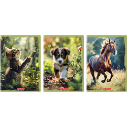 Herlitz Zeszyt A4 32k krata 70g Animals 583083