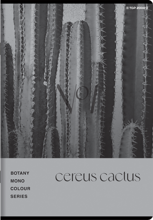 Zeszyt Top 2000 A5 60k krata 70g Botany 431121