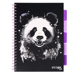 Strigo Pads animals panda A4 kratka czarny 100k 80g 813987
