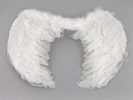 SKRZYDŁA ANIOŁKA DUŻE 444041