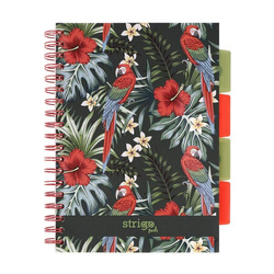 Strigo Pads tropiki papuga B5 kratka czarny 100k 80g 842482