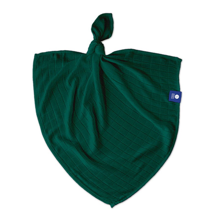 Texpol pieluszka bambusowa 65x65 170g Classic zieleń botaniczna gat1 057223