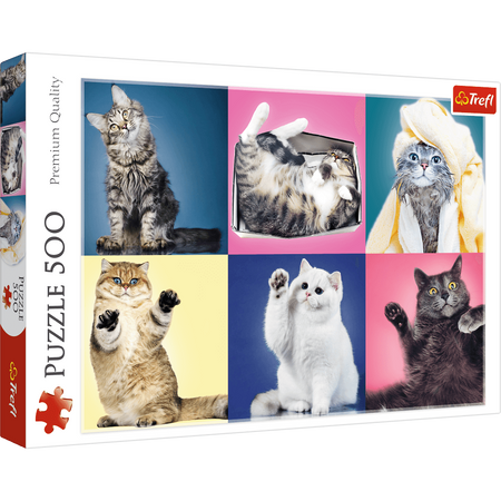 Puzzle Trefl 500 Kociaki 373776