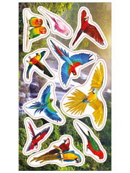 Naklejki Papugi 153519