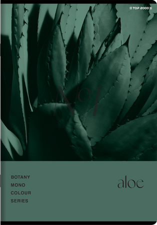 Zeszyt Top 2000 A5 60k krata 70g Botany 431121