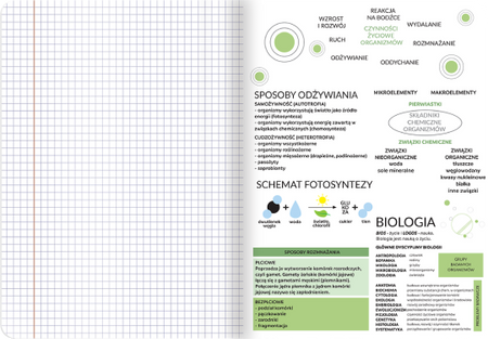 Zeszyt Top 2000 SP Biologia A5 60k krata 70g 428626