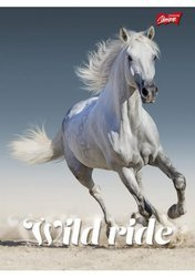 Zeszyt A5 96k linia jednoskładkowy laminowany mix dziewczęcy Unipap 607141