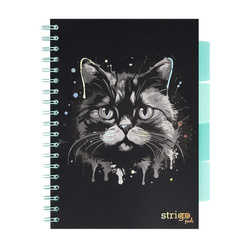 Strigo Pads animals kot B5 kratka czarny 100k 80g 814052