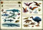 Opowiem ci mamo co robią dinozaury 137784