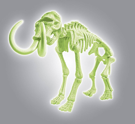 Clementoni skamieniałości mamut fluo 608904
