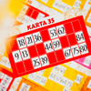 Lisciani Ludoteca Bingo 094196