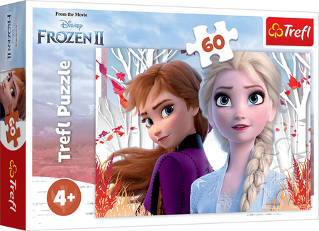 Puzzle Trefl 60 Zaczarowany świat Anny i Elsy Disney Frozen II