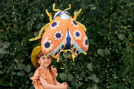 Balon foliowy Biedronka 87x75cm 006263