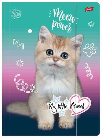 TECZKA Z GUMKĄ A4 300g MY LITTLE FRIEND KITTY PARTY 692147