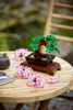 Lego 10281 drzewko bonsai