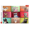 Puzzle Trefl 1500 Zabawne kocie portrety 262124