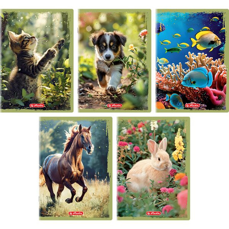 ZESZYT 32 A5LP ANIMALS 583076