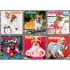 Puzzle Trefl 200 Wesołe psy 132793