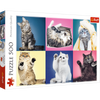 Puzzle Trefl 500 Kociaki 373776