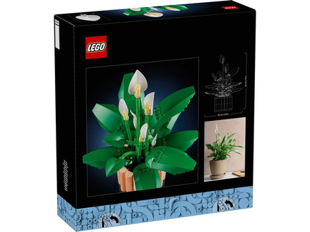 LEGO 11504 BOTANICALS Skrzydłokwiat 031858