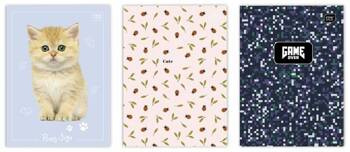 Zeszyt A4 32 linia podwójna 70g UV 339751