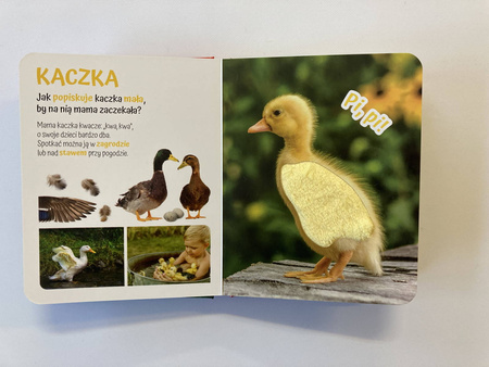 Książeczka Pogłaszcz wiejskie zwierzątko 811804