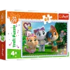 Puzzle trefl 60 Zabawy w gronie przyjaciół 173789