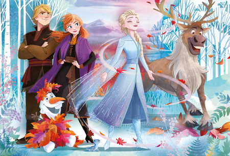 Clementoni puzzle 24 maxi frozen 2 super kolor 