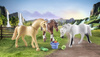 Playmobil 71356 3 Konie Morgan, Quarter Horse i Angloar 713568