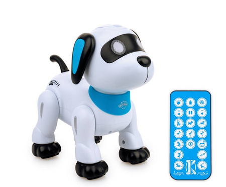 Psiak akrobata Junior RC 300108