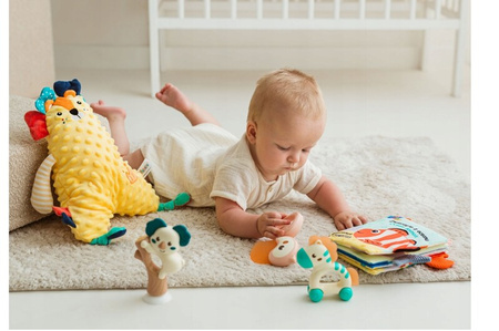 Jolly Baby Zestaw prezentowy Zwierzaki 825999