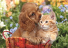Clementoni Puzzle 104 Maxi Super Kolor Cute friends 257638