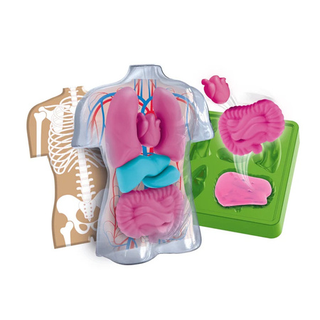 Clementoni Naukowa zabawa Anatomia 502523