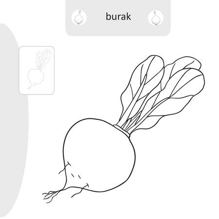 Książeczka Malowanie doklejanie Warzywa 071122