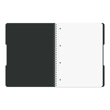 Herlitz Kołozeszyt B5 80k krata 70g 2 spirale Eco PP czarny 500264