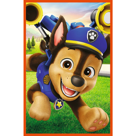 Puzzle Trefl 3x80 Psia zgraja 348866