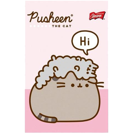 ZESTAW UPOMINKOWY PUSHEEN MINT 674877