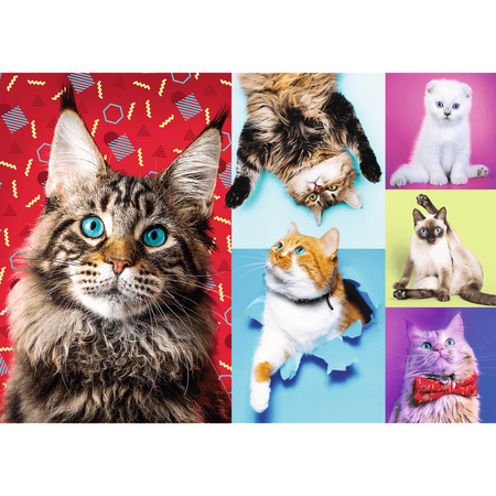 Puzzle Trefl 1000 Wesołe koty 105957