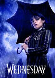 Teczka z gumką WEDNESDAY A4 225296