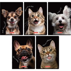 Herlitz Zeszyt do słówek A6 16k krata 70g Crazy Animal 442417