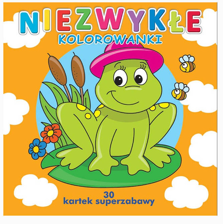 Kolorowanka Niezwykłe Kolorowanki 601623