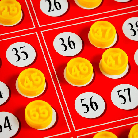 Lisciani Ludoteca Bingo 094196