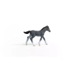 Schleich Źrebię Rasy Trakeńskiej Horse Club 461106