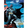Puzzle Trefl 1000 Premium Plus Batman 108903
