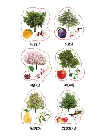 Naklejki Polski sad 153151