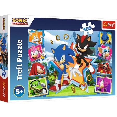 Puzzle Trefl 100 Poznaj Sonica 164657